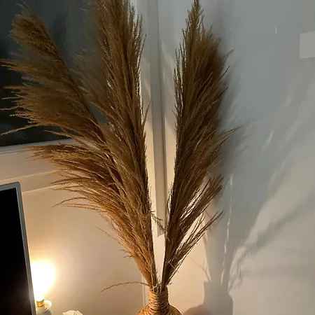 Апартаменты Terrasse Vue - 6 Pers, 3 Et Parking A St Tropez